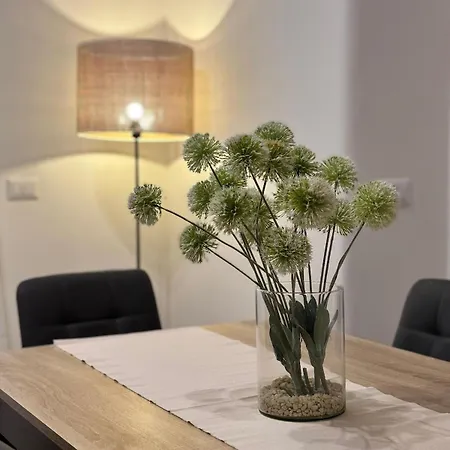 Metro C - Il Sognator *