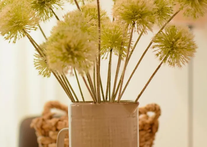 Metro C - Il Sognator רומא